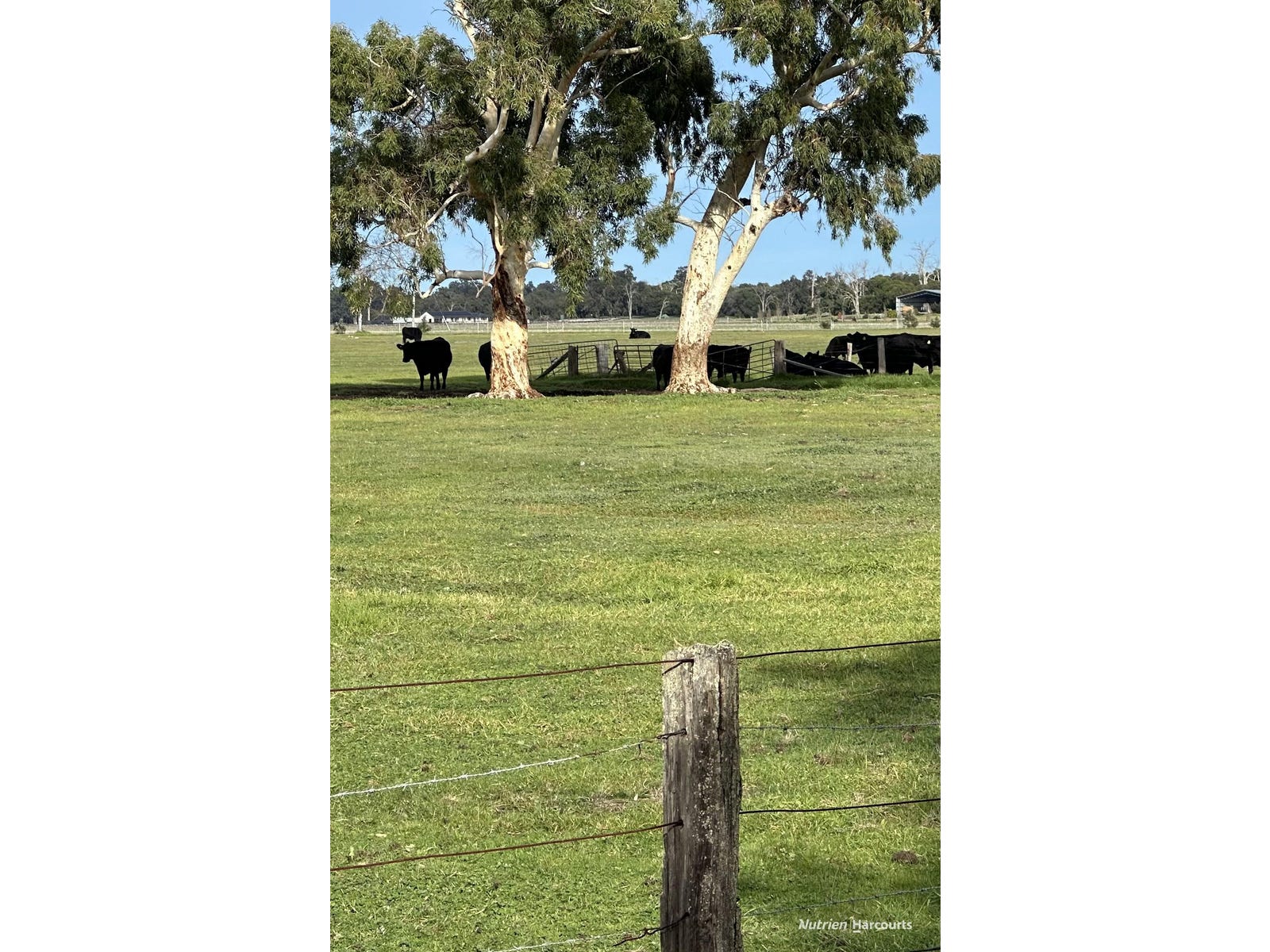 Business For Sale: Crooked Brook, WA 6236