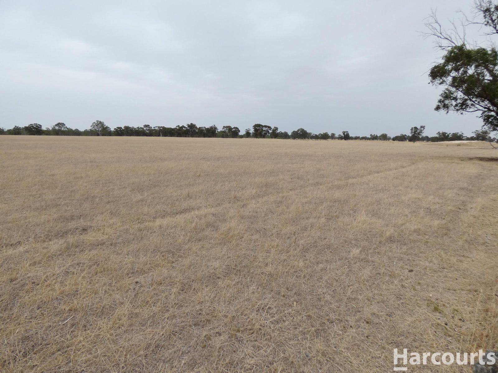 Business For Sale: Clear Lake, Vic 3409