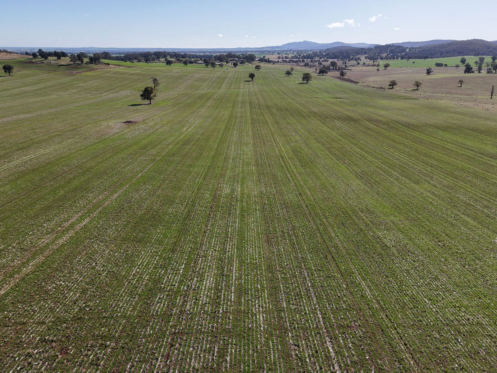 Business For Sale: Parkes, NSW 2870