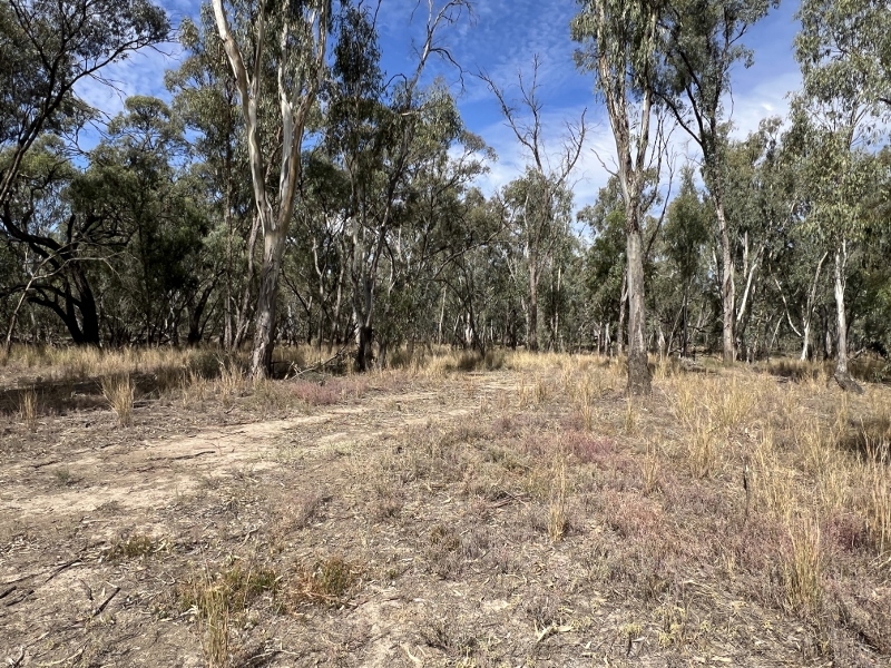 Business For Sale: Deniliquin, NSW 2710