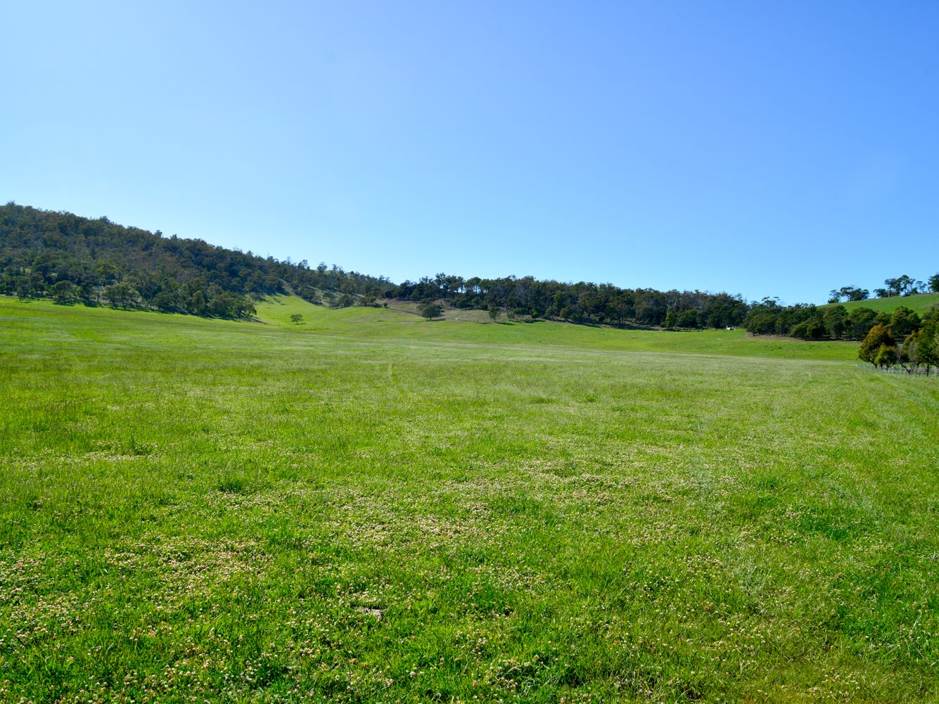 Business For Sale: Bagdad, Tas 7030