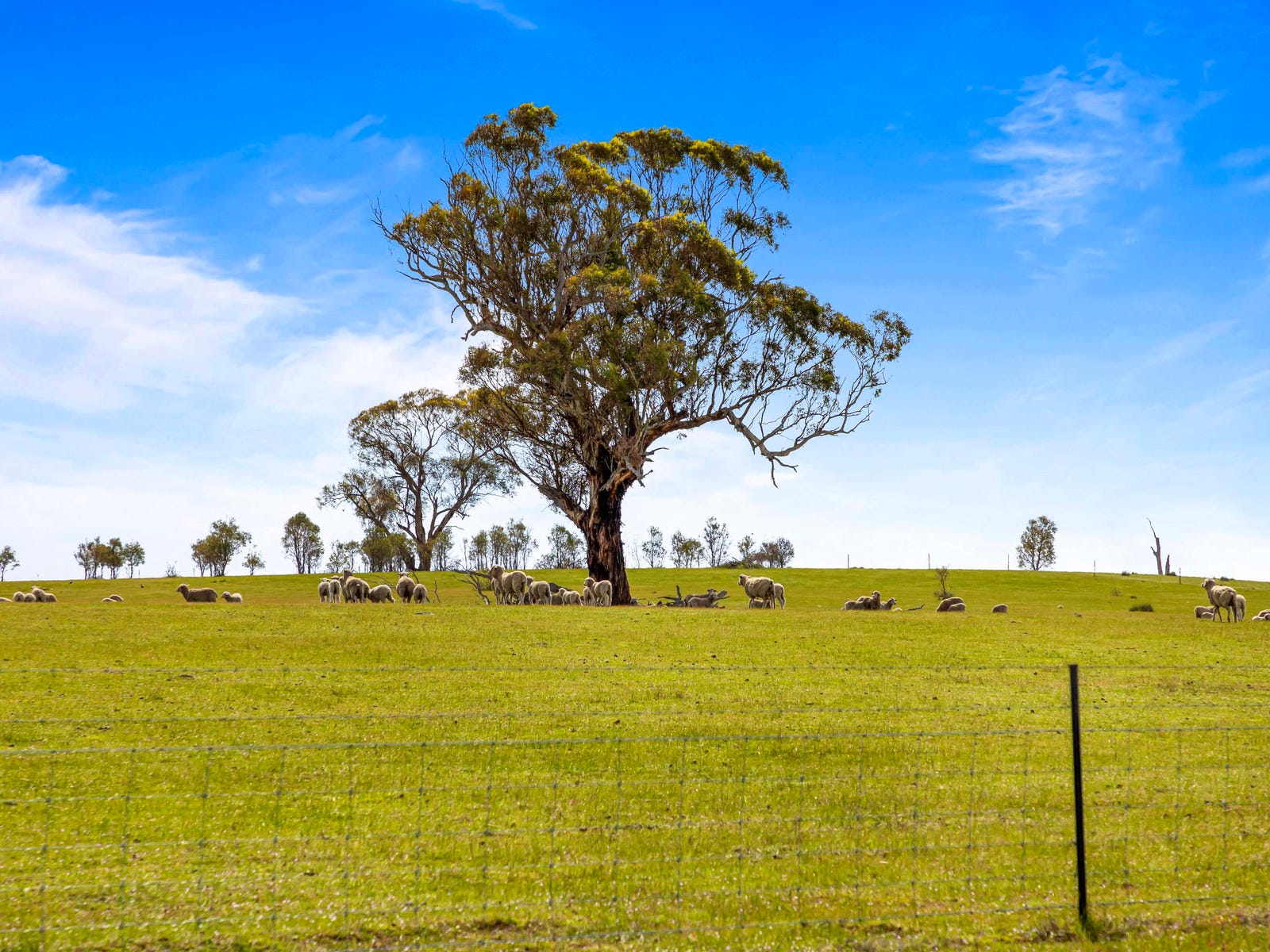 Business For Sale: Campbells Bridge, Vic 3387