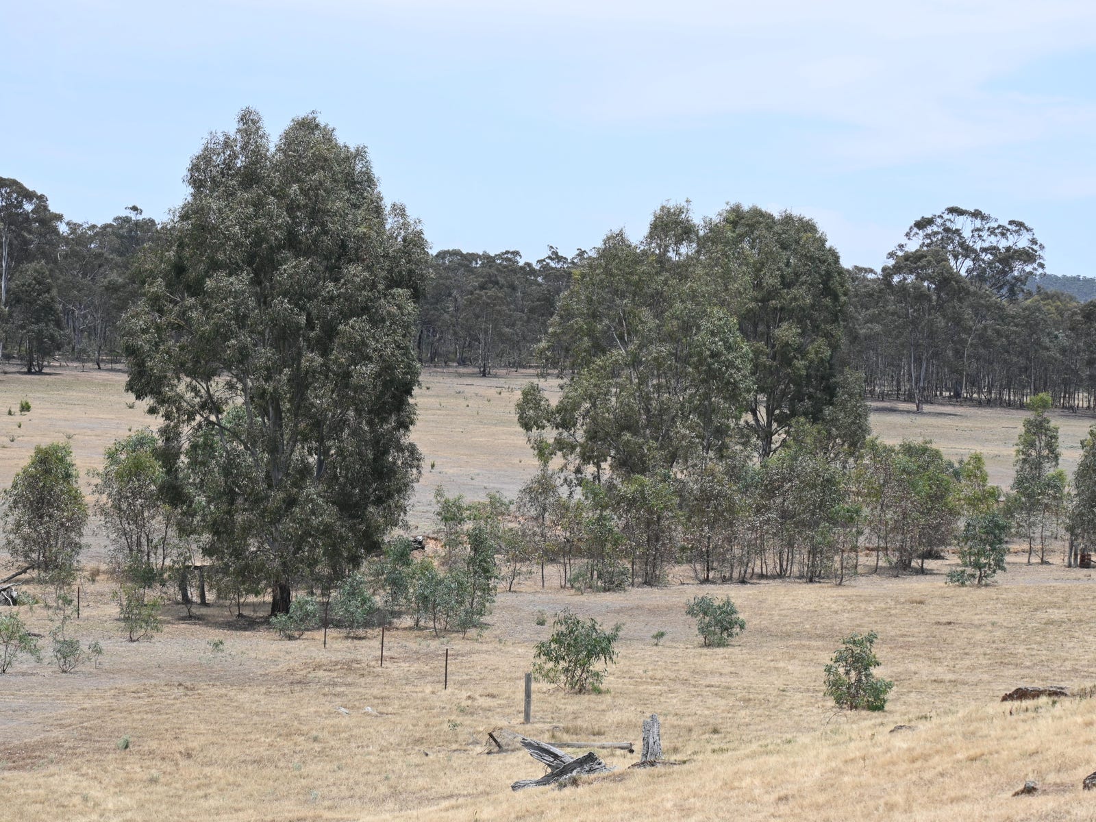 Business For Sale: Rheola, Vic 3517
