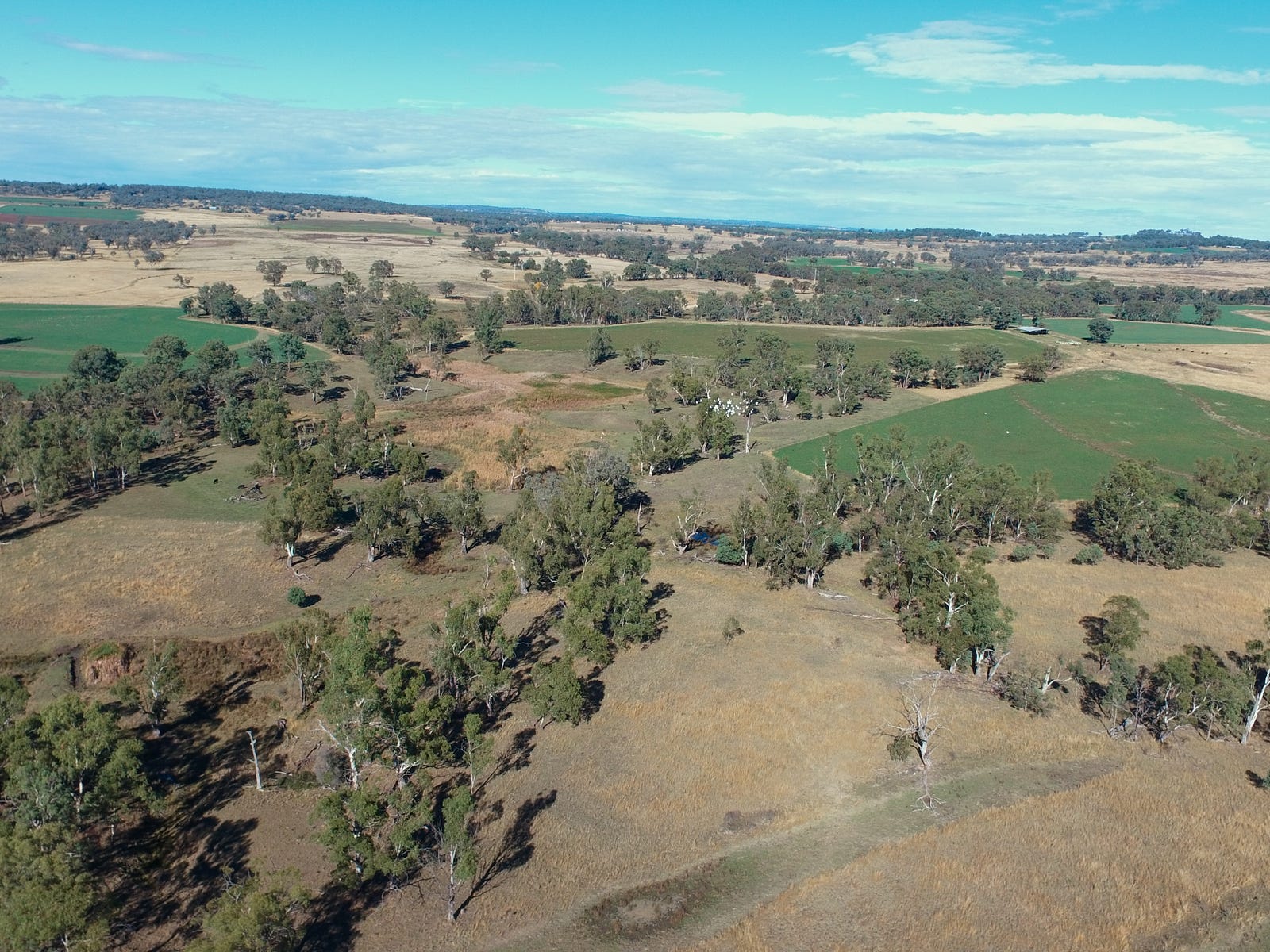 Business For Sale: Rob Roy, NSW 2360
