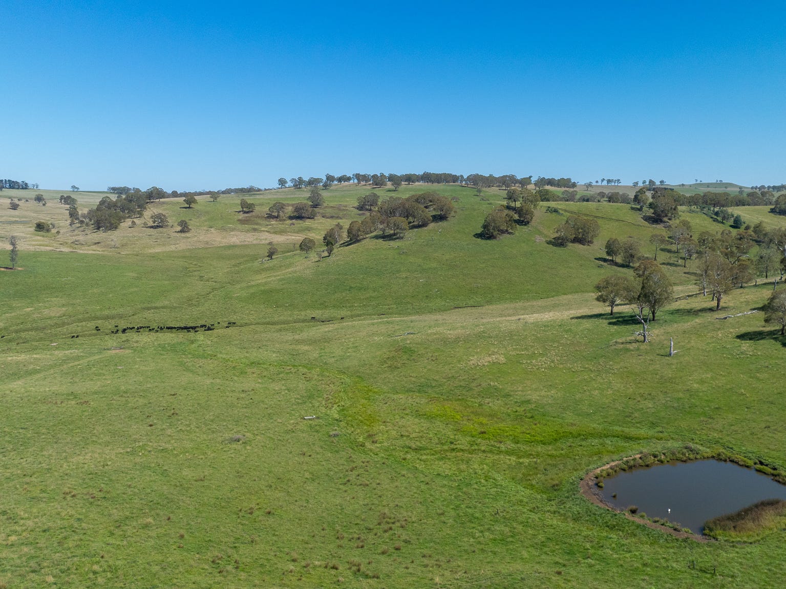 Business For Sale: Thalgarrah, NSW 2350