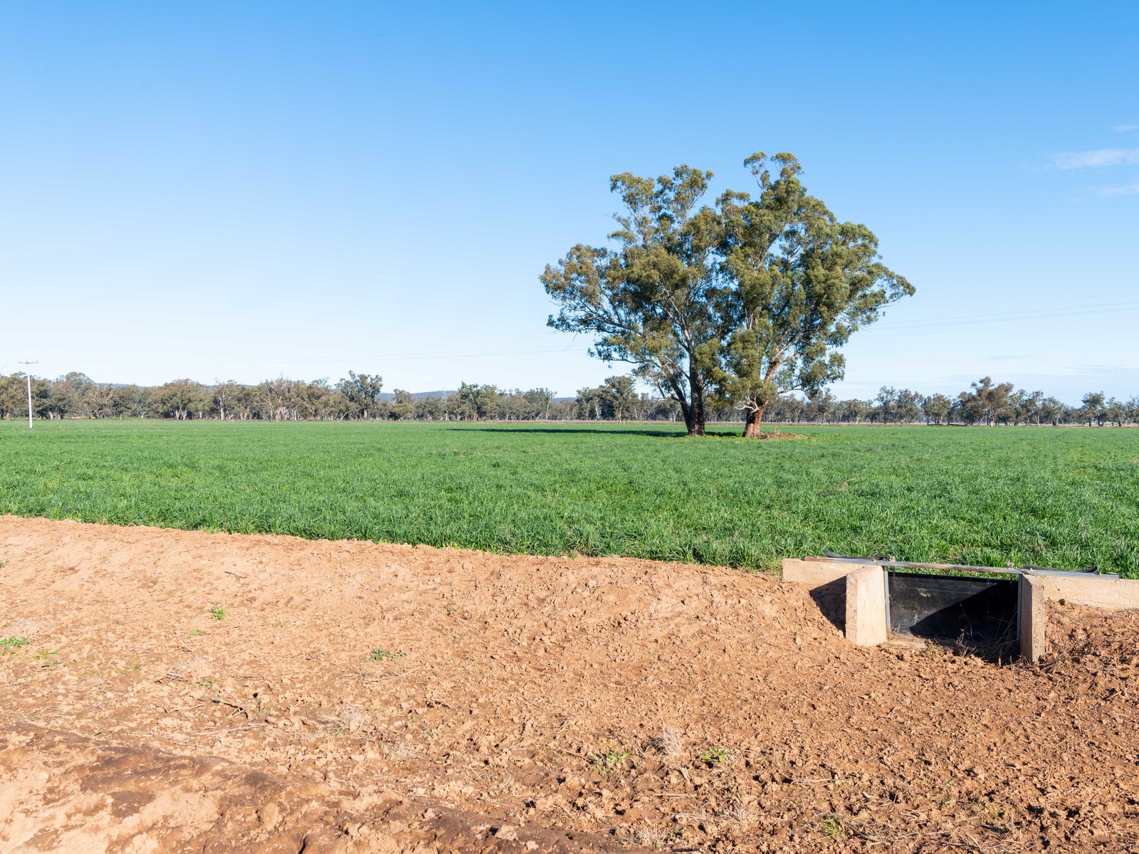 Business For Sale: Forbes, NSW 2871
