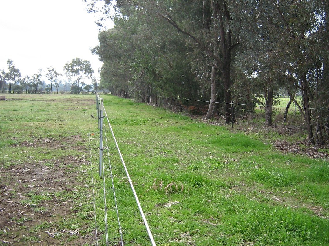 Farm For Sale in Tamworth, NSW 2340 Mccarthy Lane