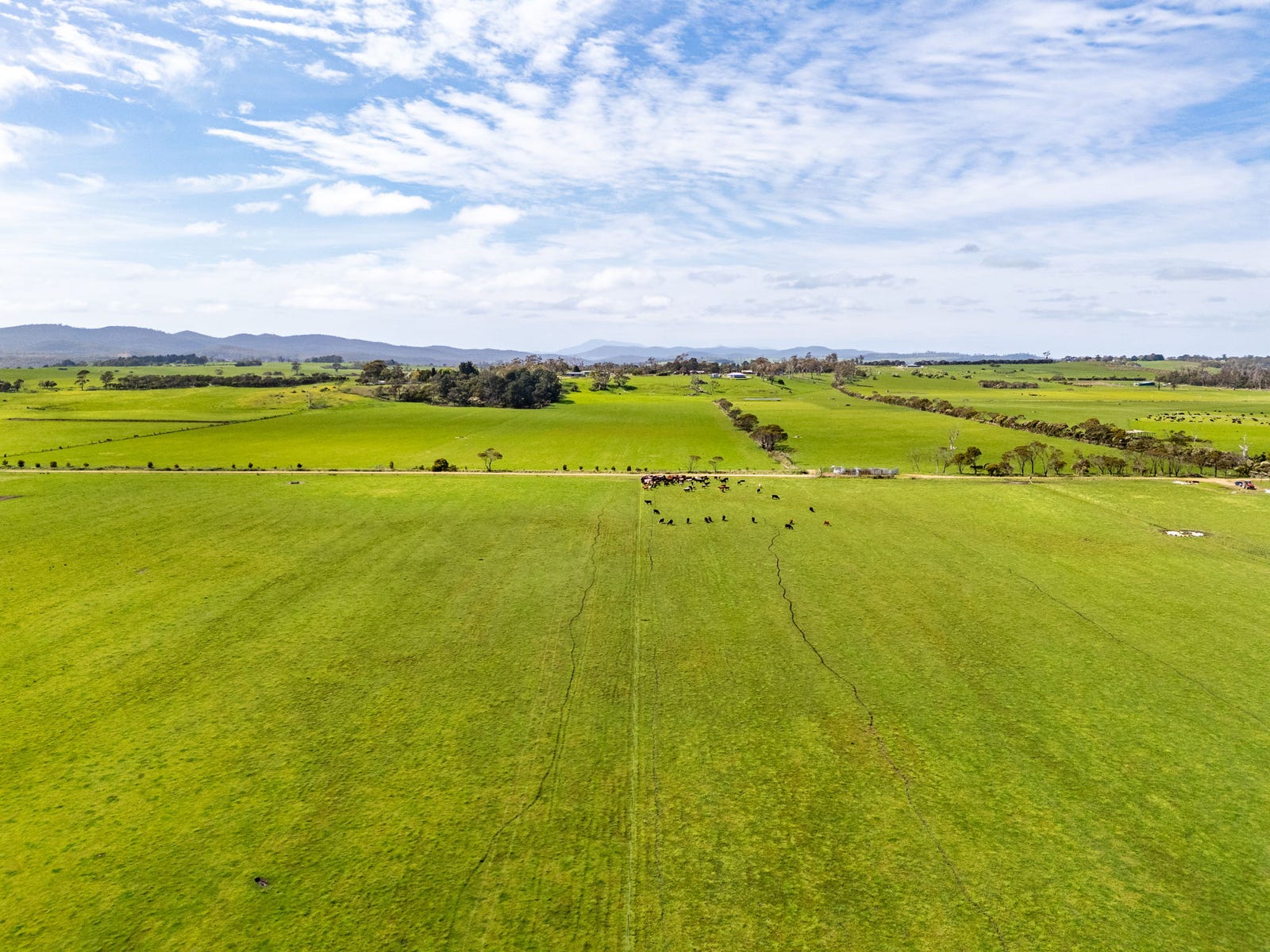 Business For Sale: Rowella, Tas 7270