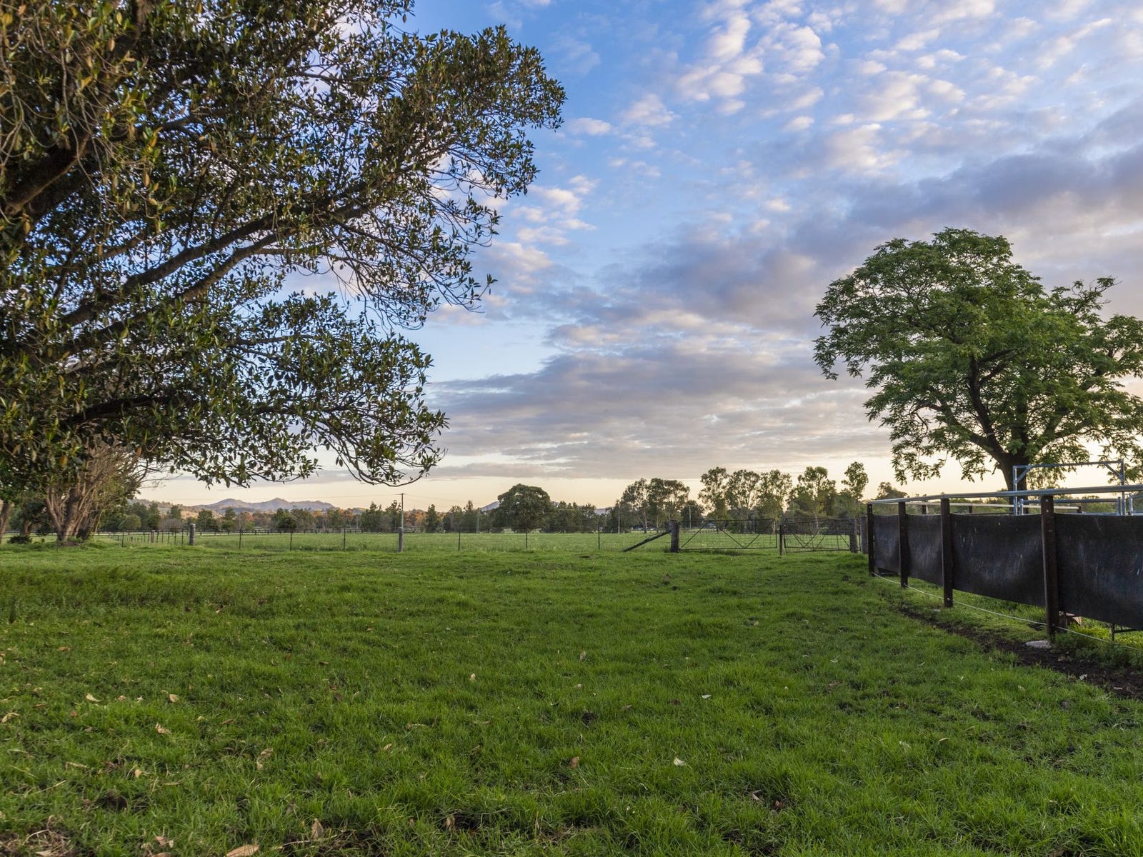 Business For Sale: Scone, NSW 2337