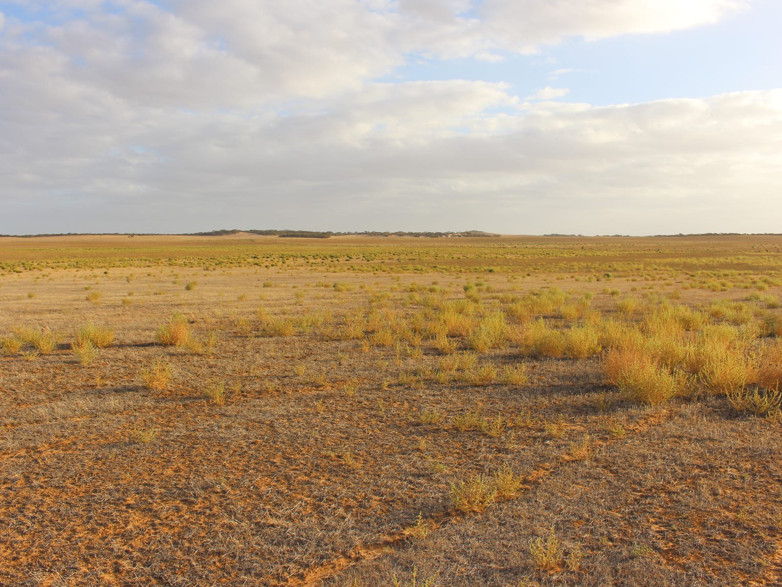 Business For Sale: Sandalwood, SA 5309