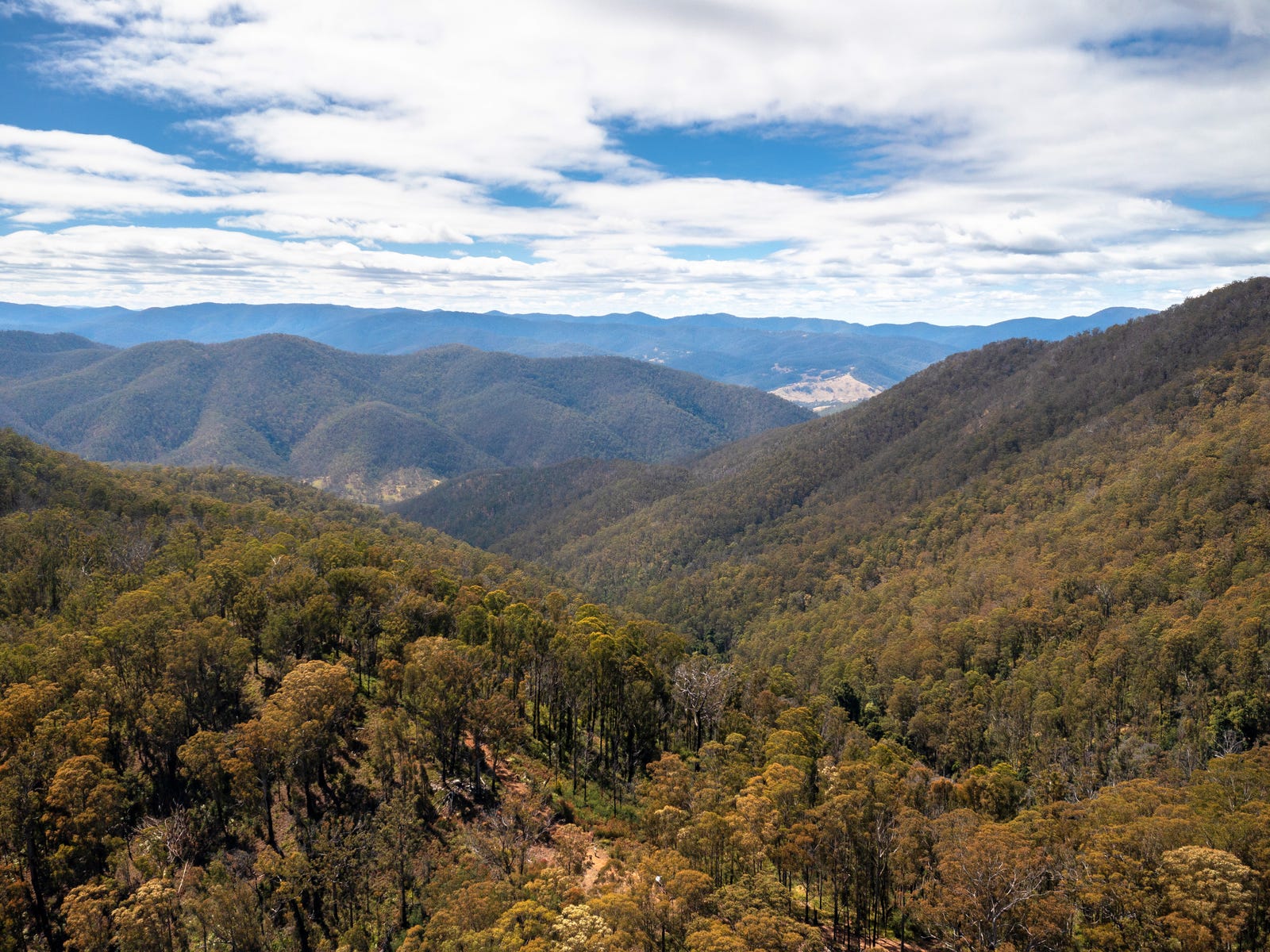 Business For Sale: Cells River, NSW 2424