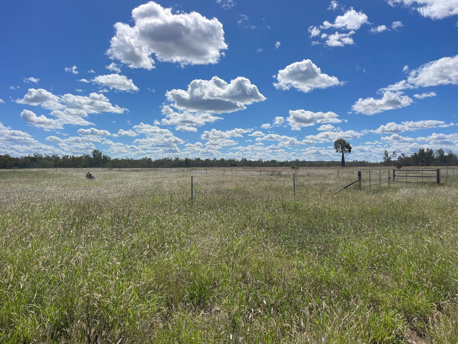 Business For Sale: Taroom, Qld 4420