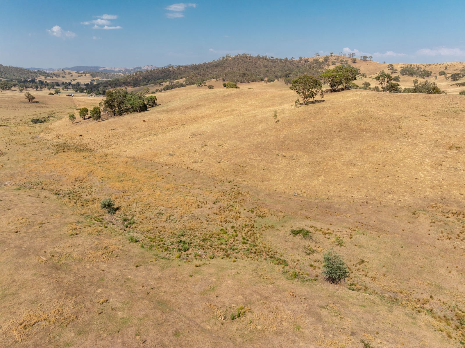 Business For Sale: Oberne Creek, NSW 2650