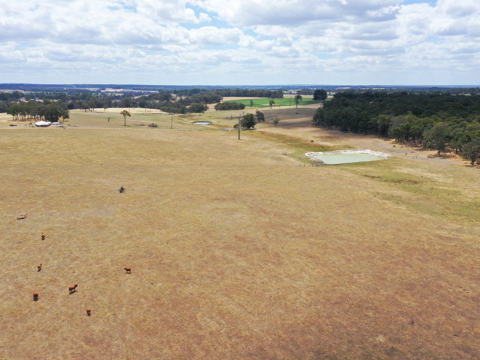 Business For Sale: Benjinup, WA 6255