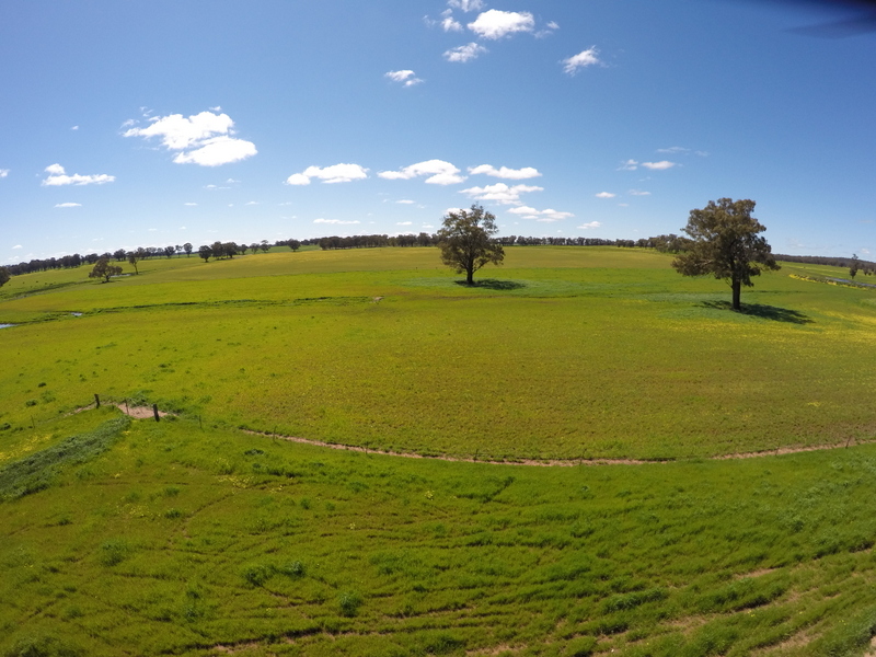 Farm For Sale in Springdale, NSW 2666