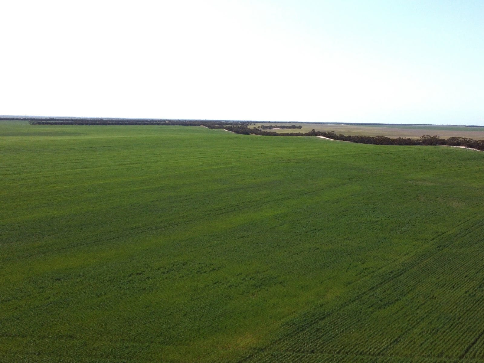 Business For Sale: Murlong, SA 5642