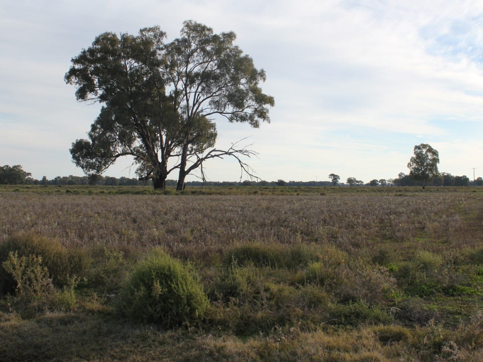 Business For Sale: Condobolin, NSW 2877
