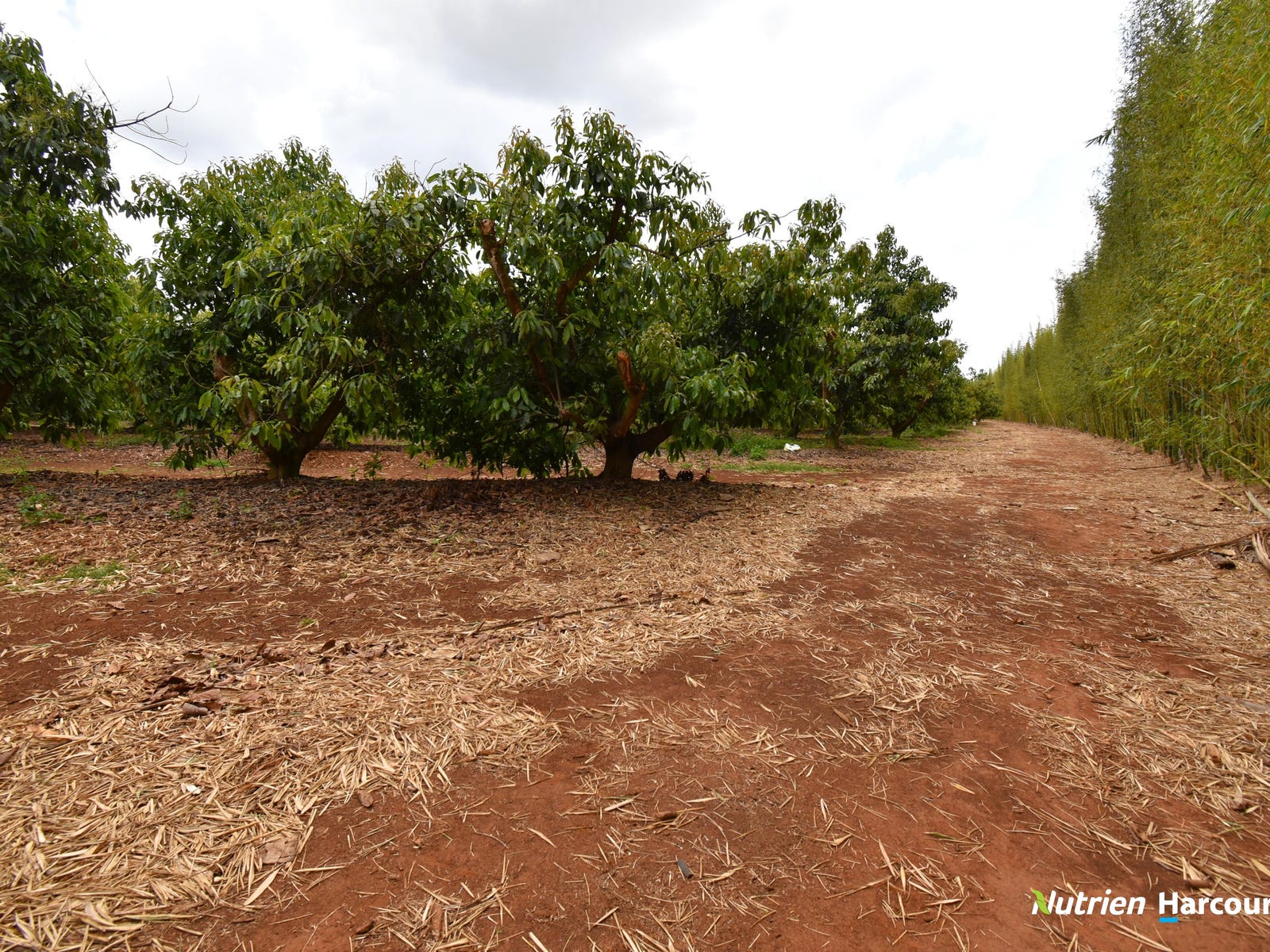 Business For Sale: Redridge, Qld 4660