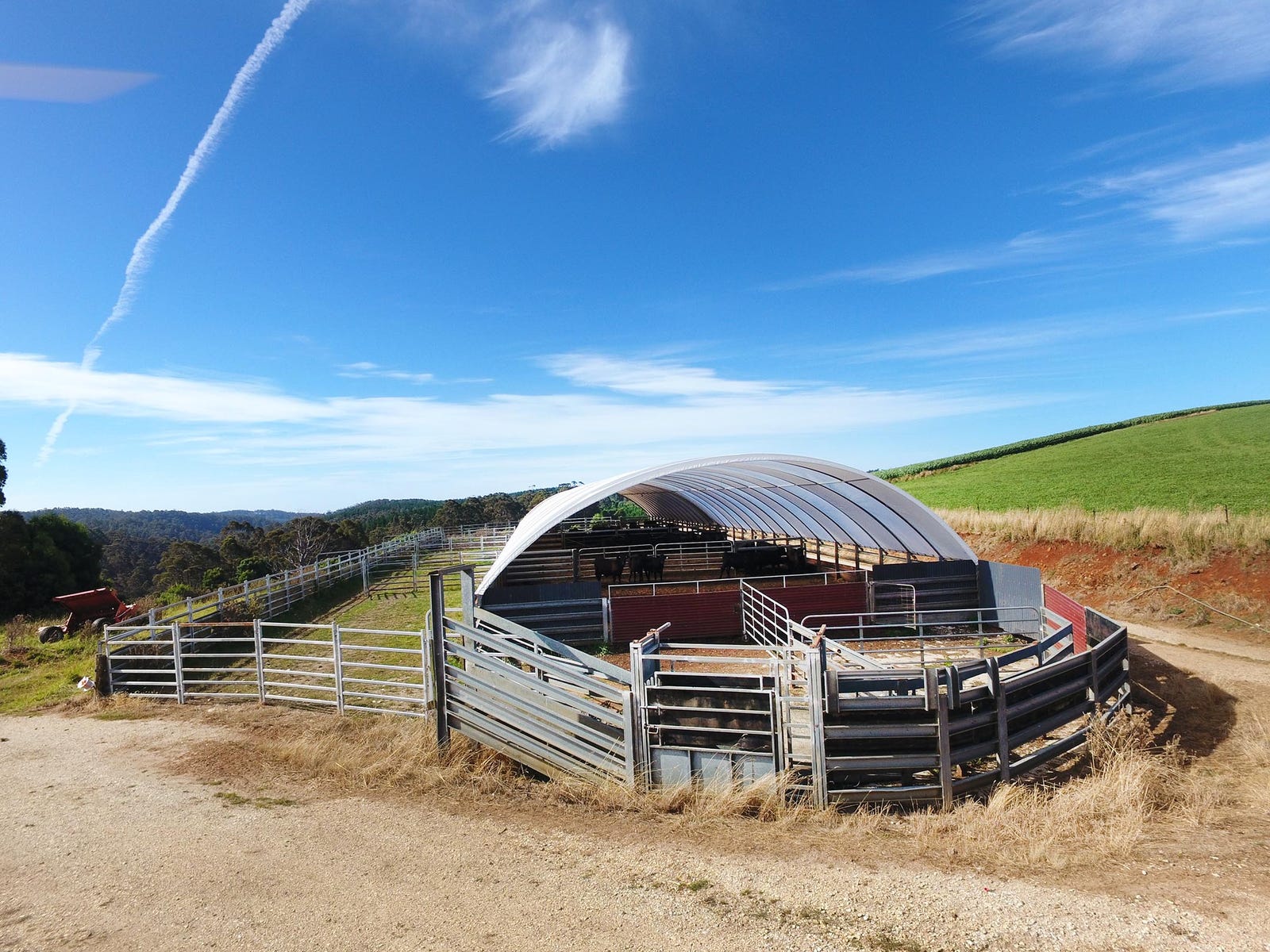 Business For Sale: Mount Hicks, Tas 7325