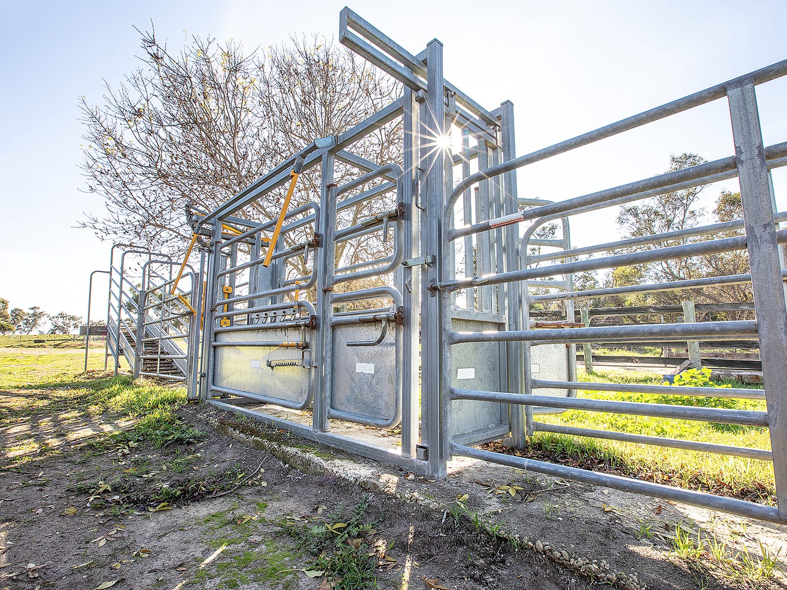 Business For Sale: Lucindale, SA 5272