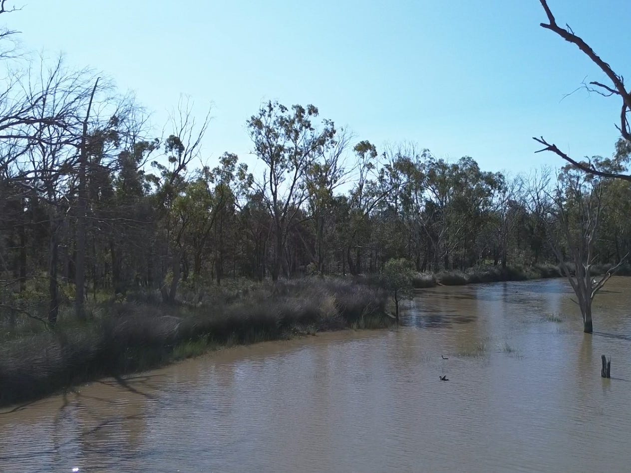 Business For Sale: Gilgandra, NSW 2827