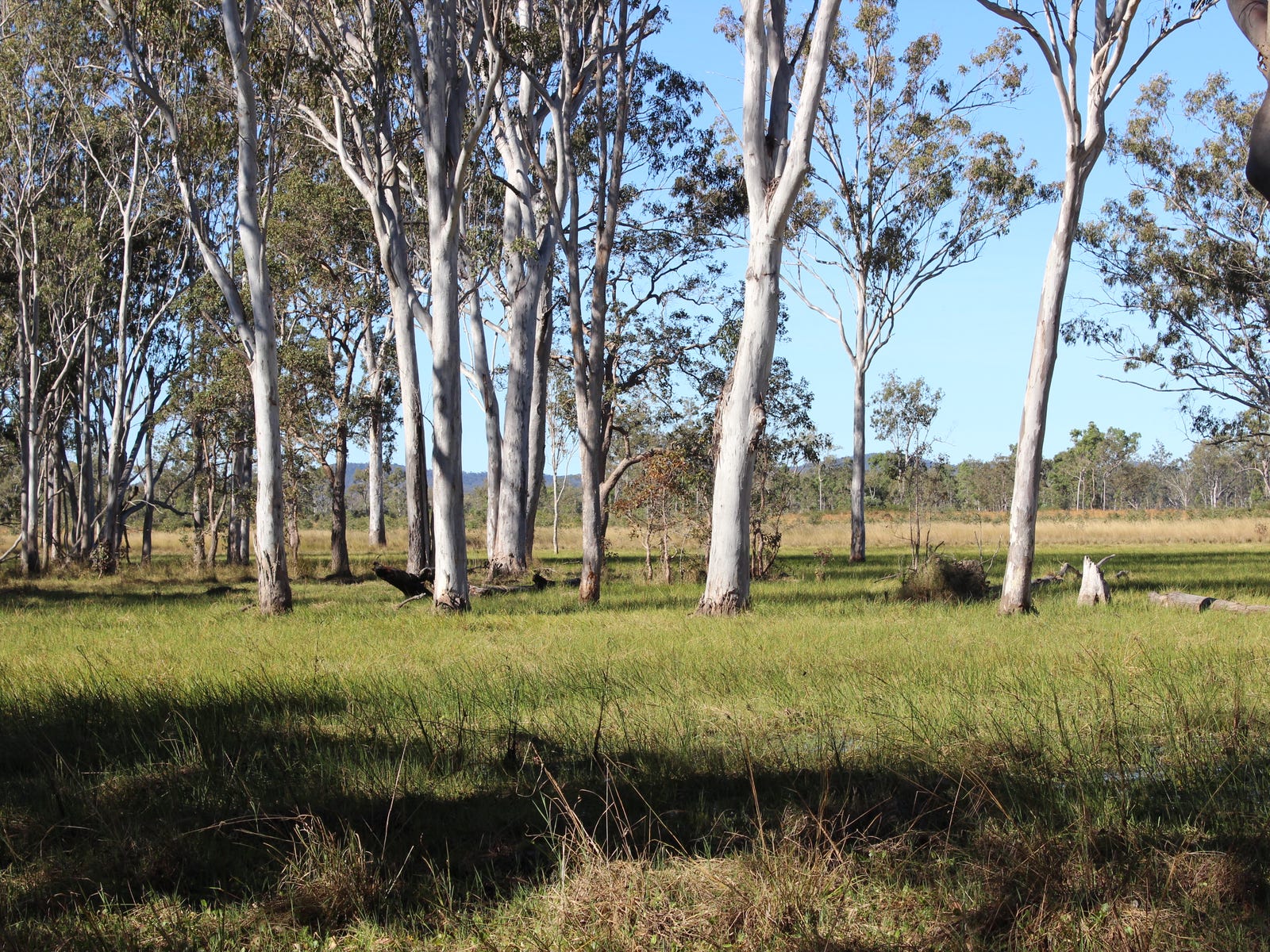 Business For Sale: Innot Hot Springs, Qld 4872