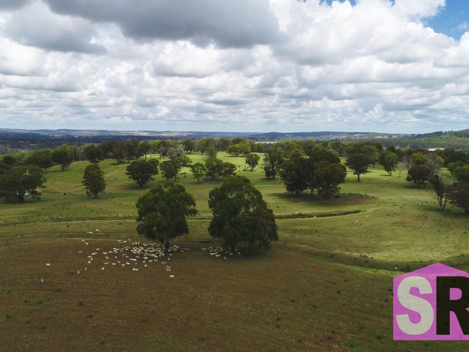 Business For Sale: Guyra, NSW 2365