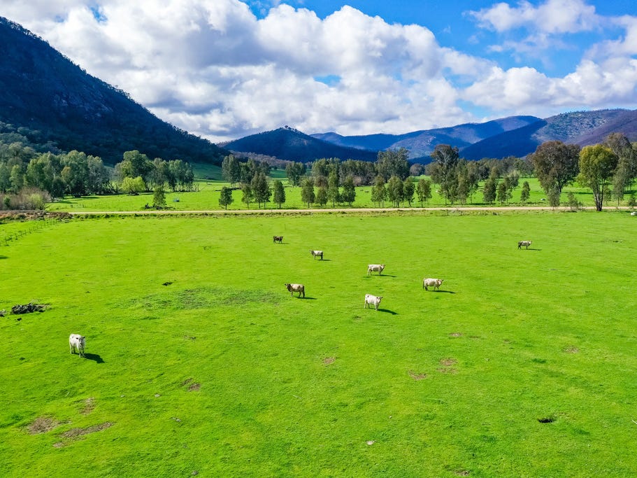 Business For Sale: Talmalmo, NSW 2640