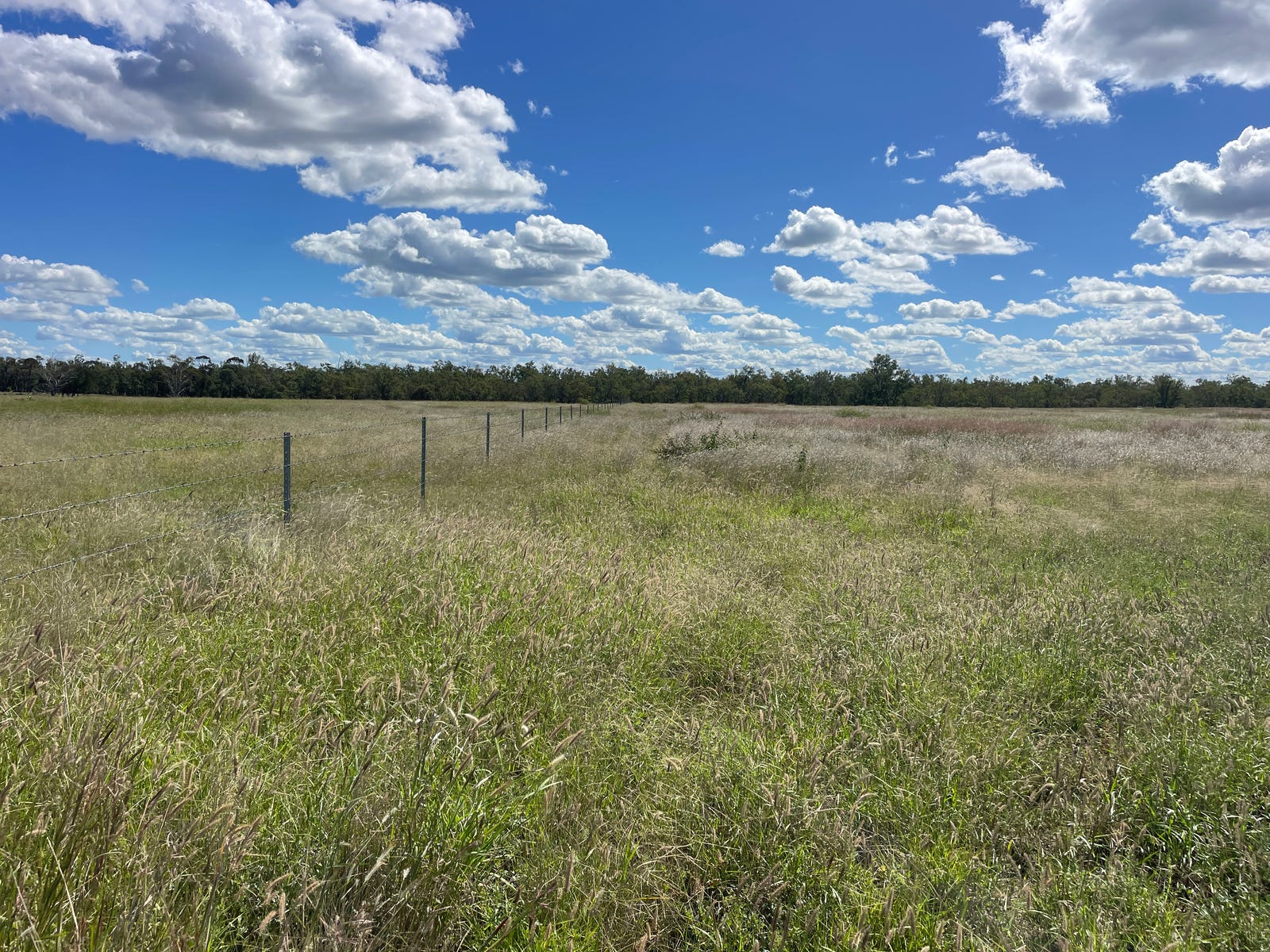 Business For Sale: Taroom, Qld 4420