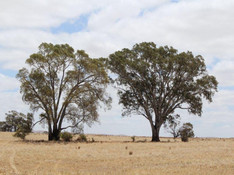 Business For Sale: Mount Pleasant, SA 5235