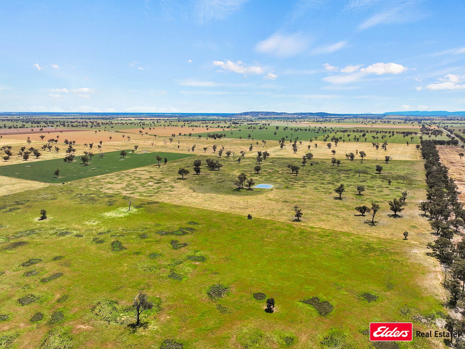 Business For Sale: Young, NSW 2594