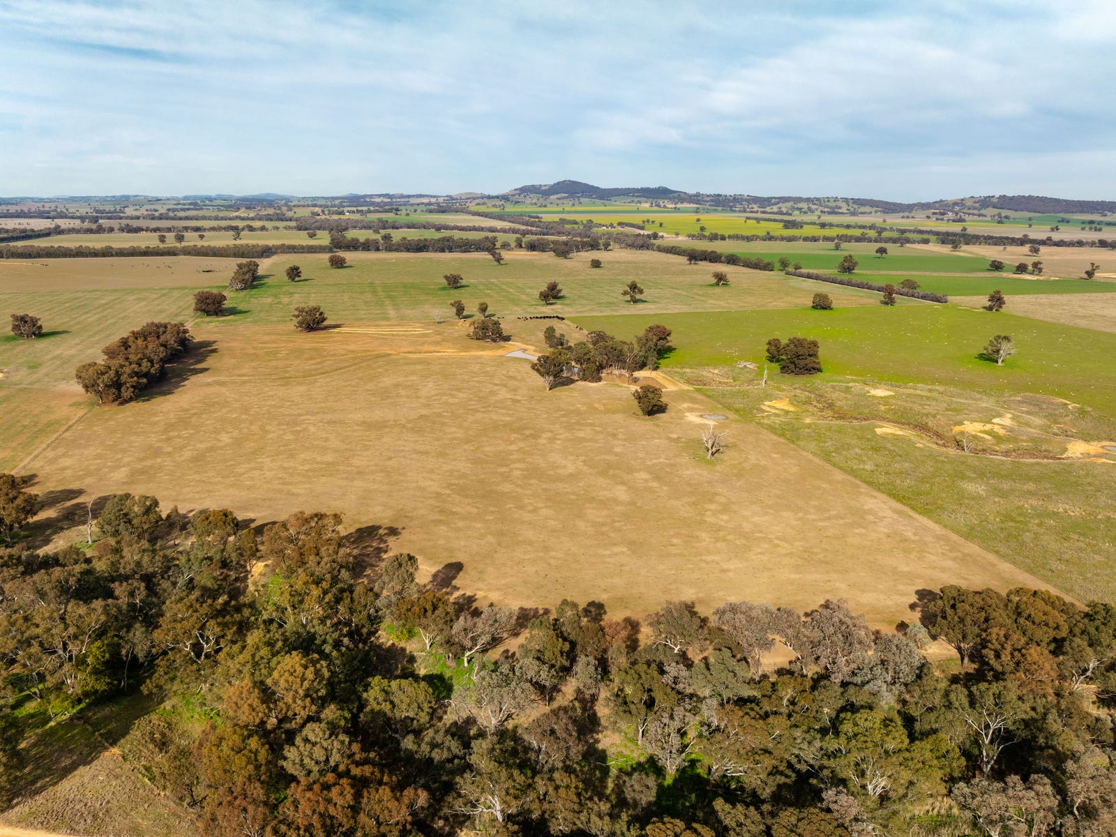 Business For Sale: The Rock, NSW 2655