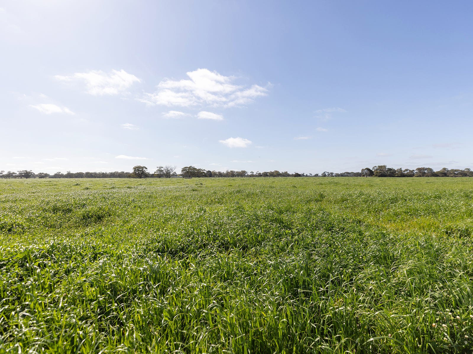 Business For Sale: Kingston Se, SA 5275