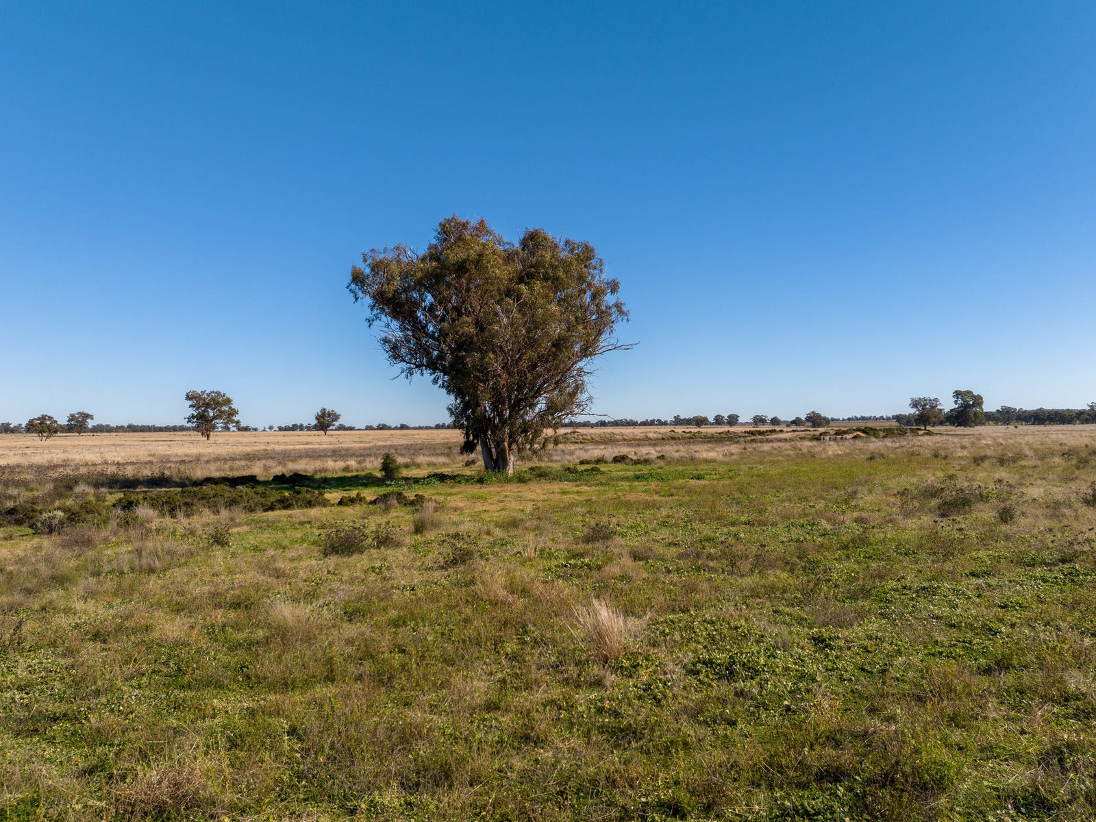 Business For Sale: Narromine, NSW 2821