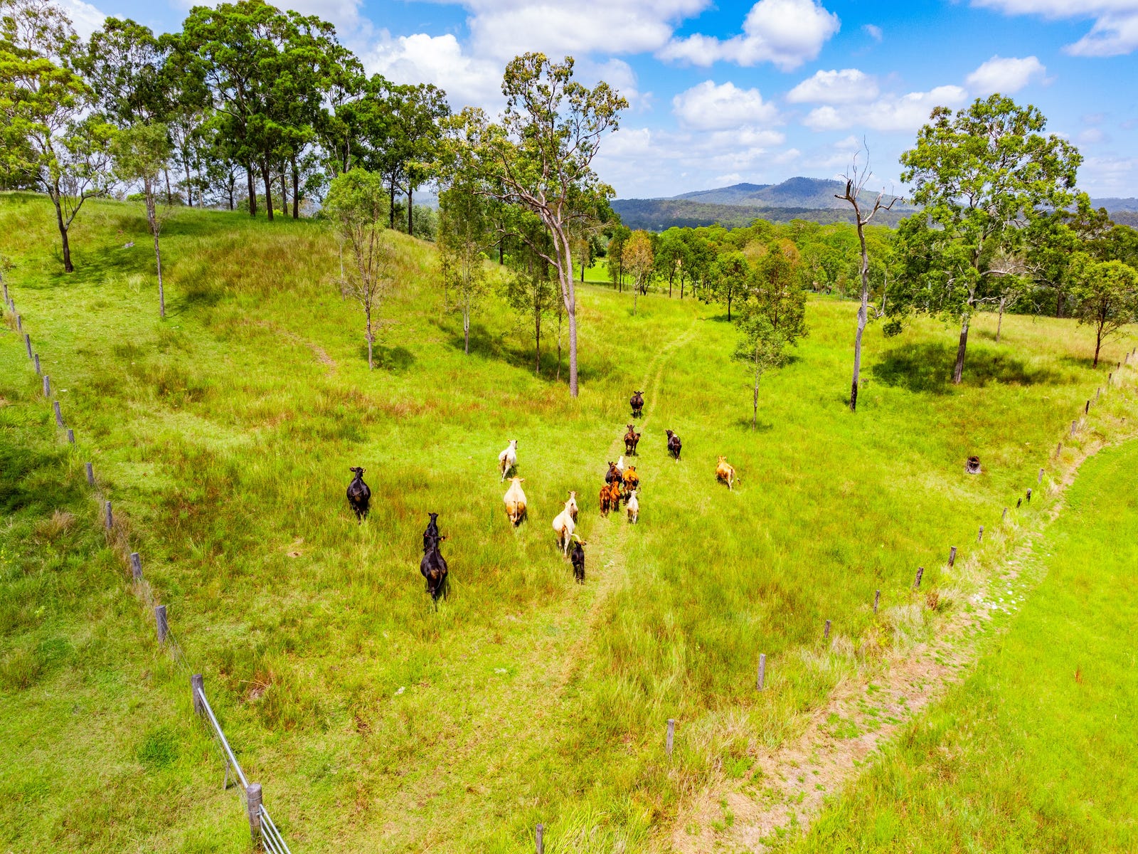 Business For Sale: Josephville, Qld 4285