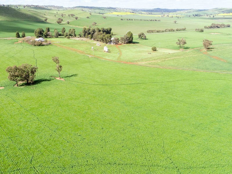 Business For Sale: Berthong, NSW 2594