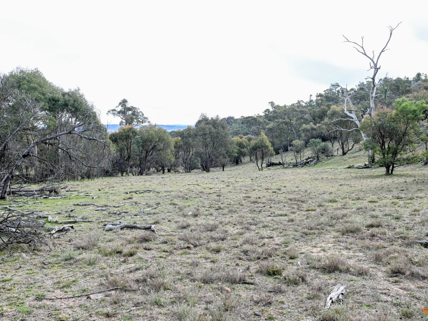 Business For Sale: Jimenbuen, NSW 2628
