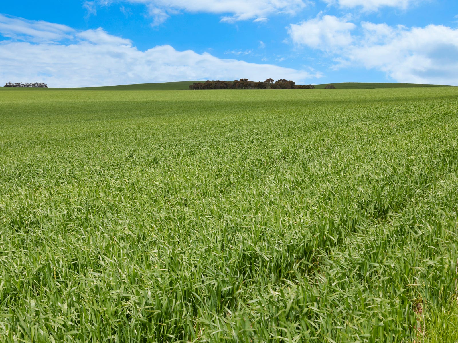Business For Sale: Burra, SA 5417