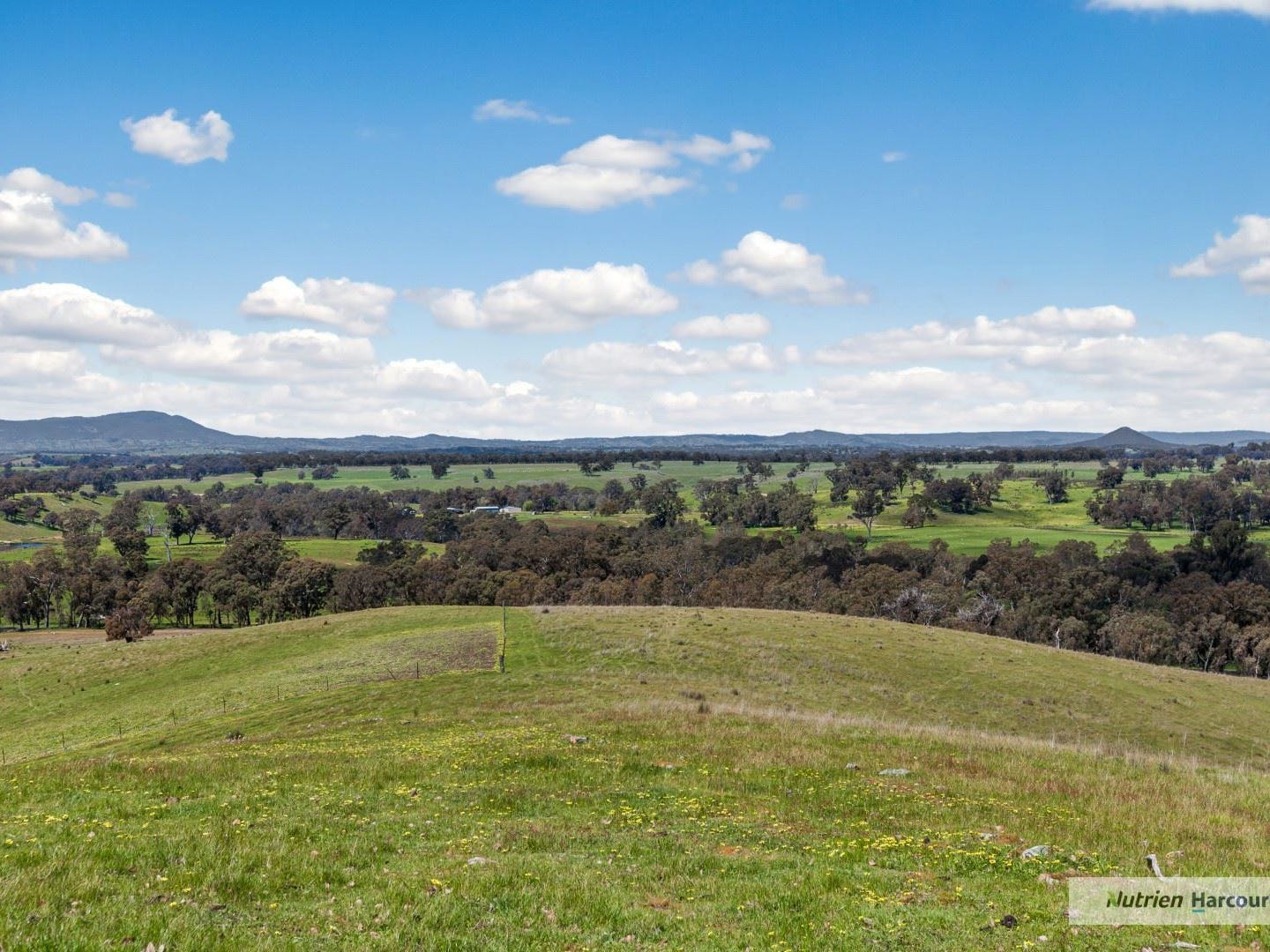 Business For Sale: Kilmore, Vic 3764