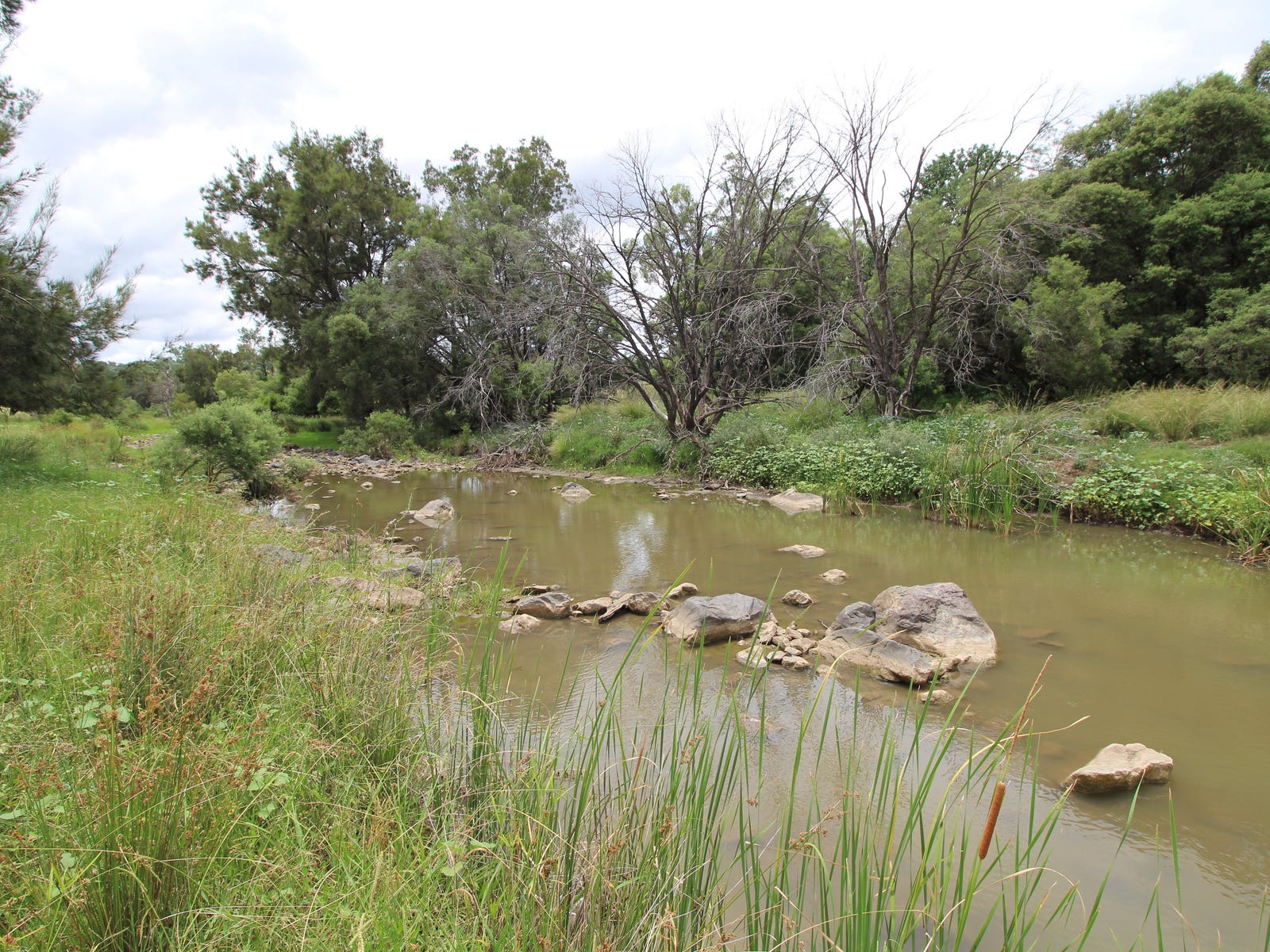 Business For Sale: Myall Creek, NSW 2403