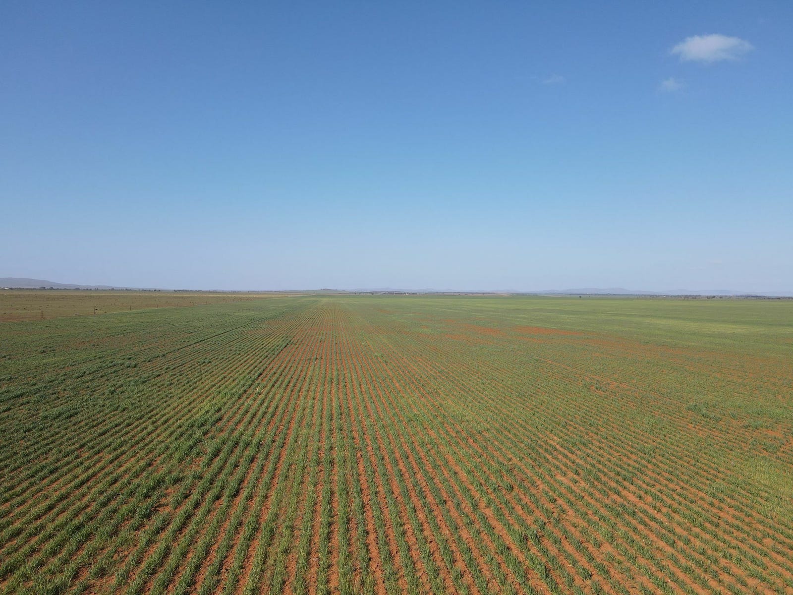 Business For Sale: Willowie, SA 5431