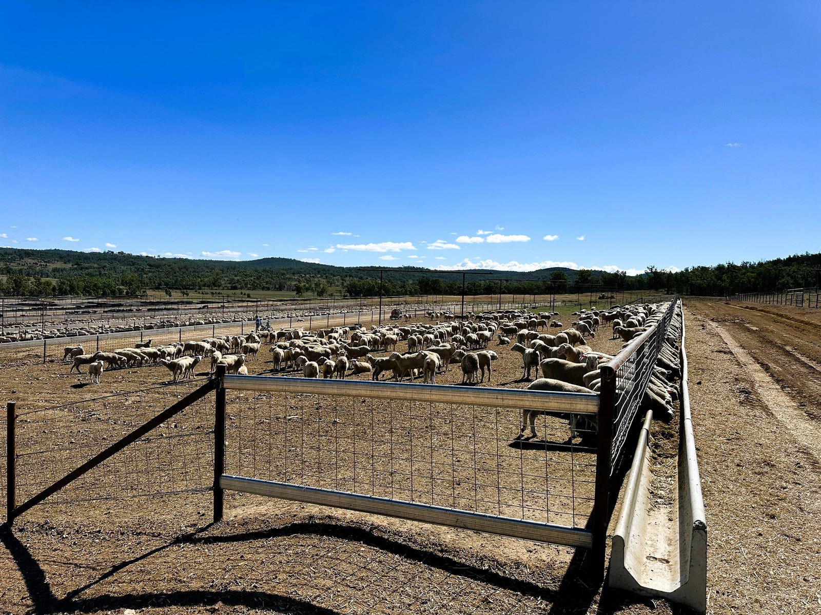 Business For Sale: Maidenhead, Qld 4385
