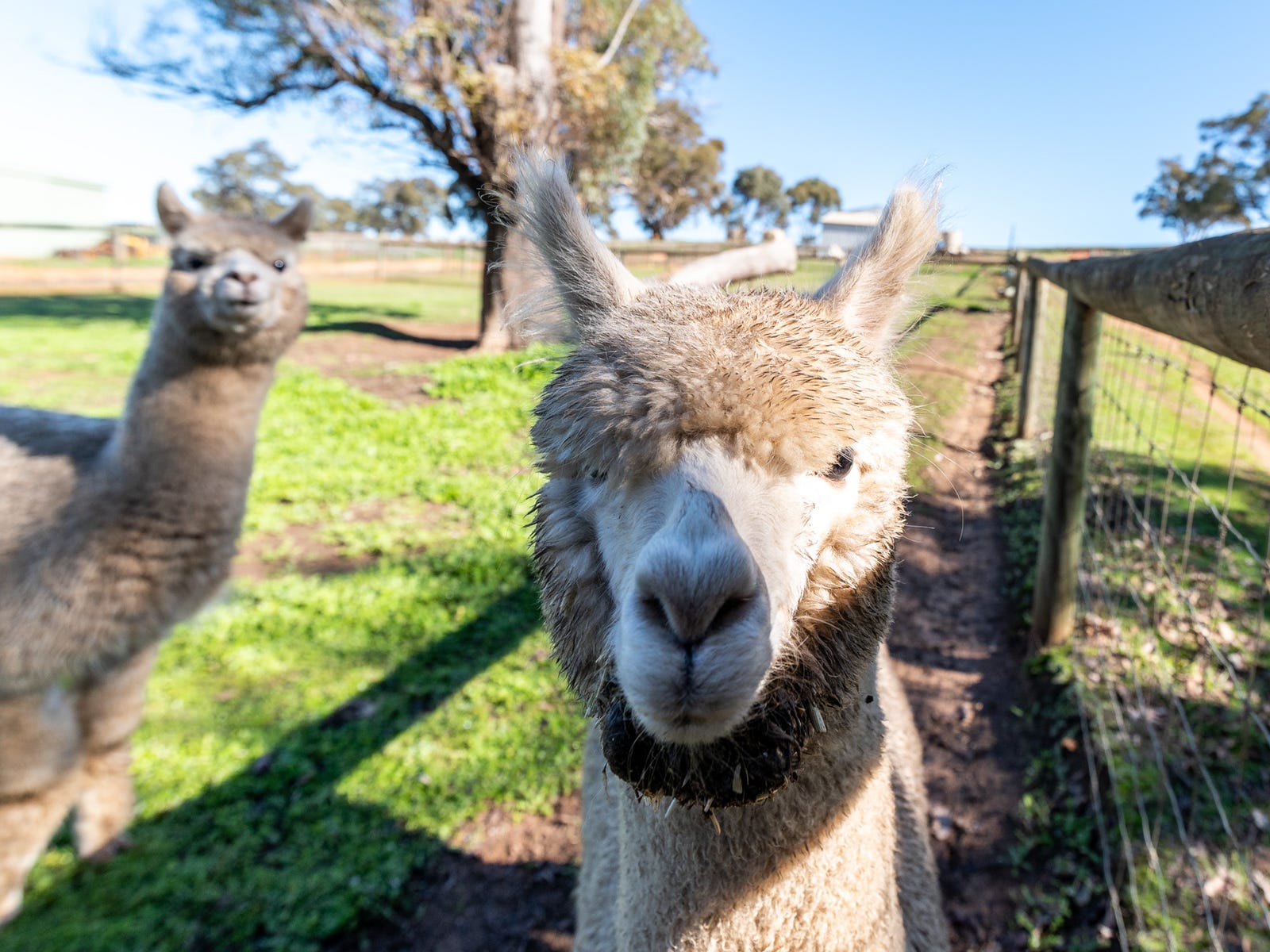 Business For Sale: Bindoon, WA 6502