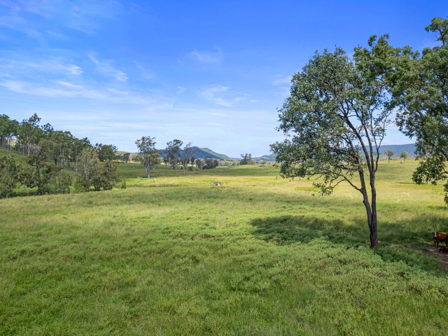 Business For Sale: Oakview, Qld 4600