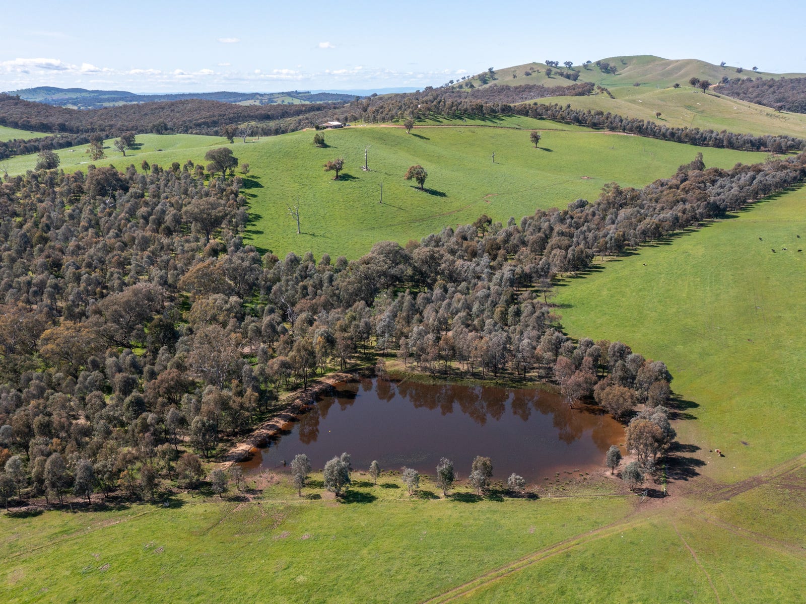 Business For Sale: Lurg, Vic 3673