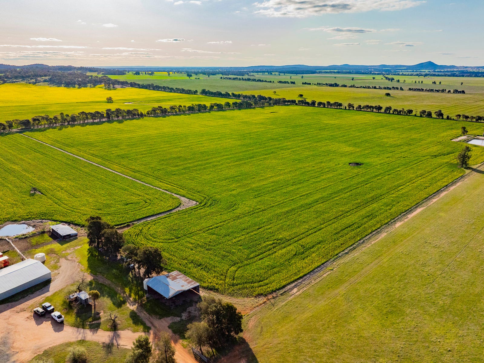 Business For Sale: Trungley Hall, NSW 2666
