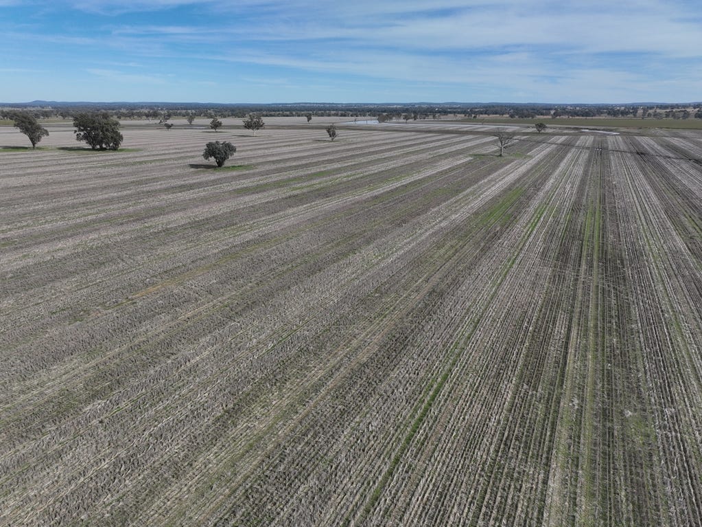 Business For Sale: Narrabri, NSW 2390