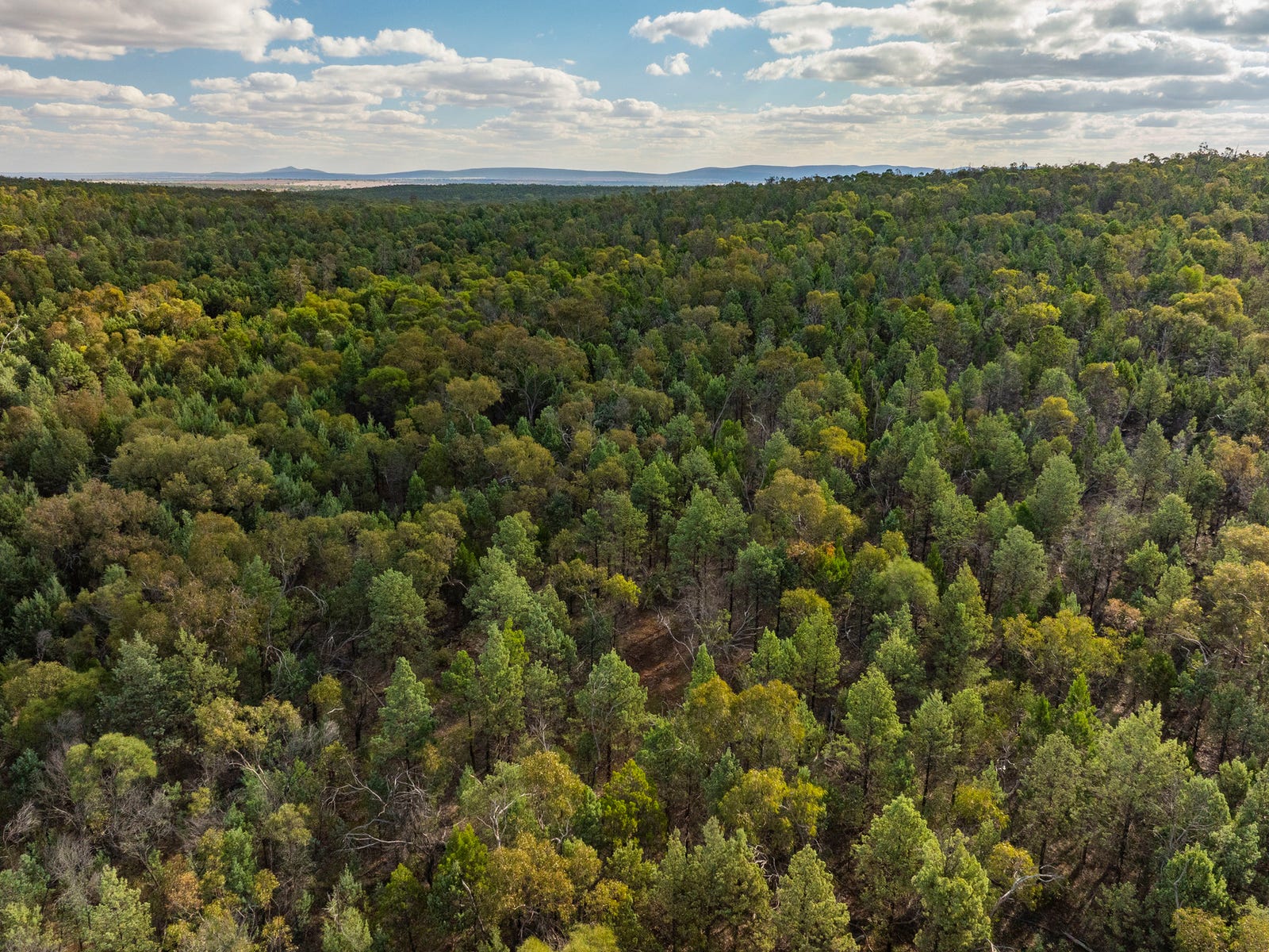 Business For Sale: Rankins Springs, NSW 2669