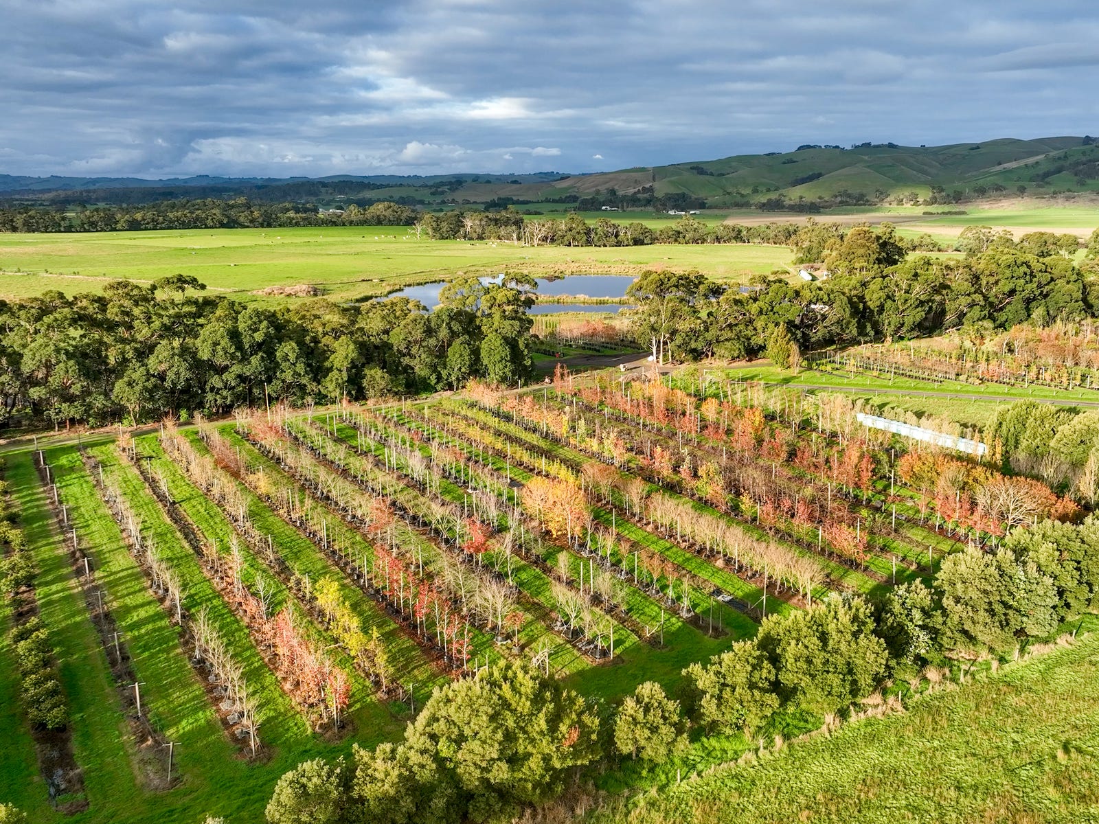 Business For Sale: Glen Forbes, Vic 3990