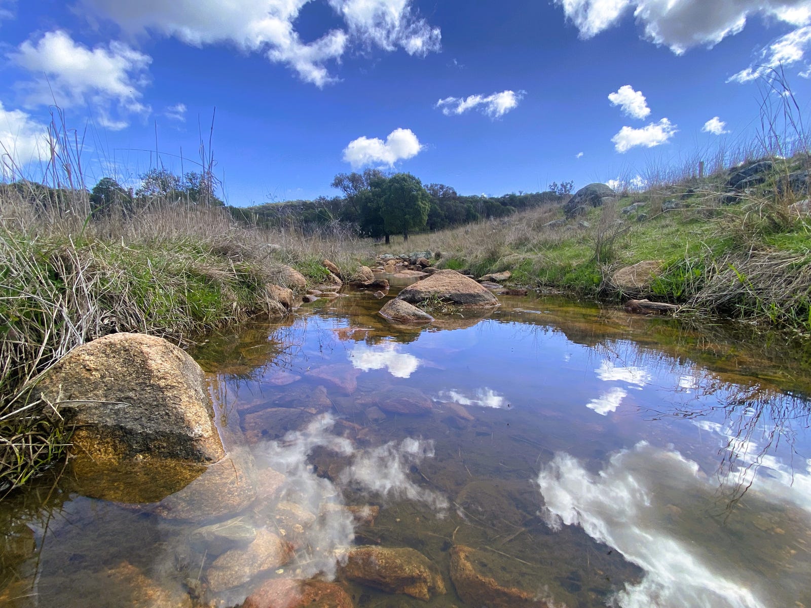 Business For Sale: Grenfell, NSW 2810